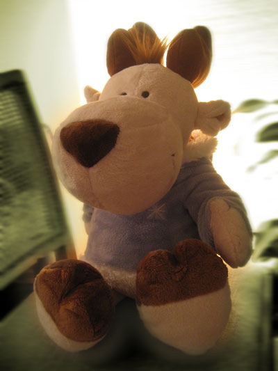 Ruben